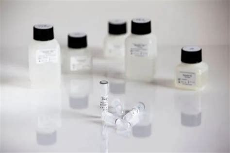 Trizol Plus RNA Purification Kit. at ₹ 8950/unit | RNA Isolation Kit in ...