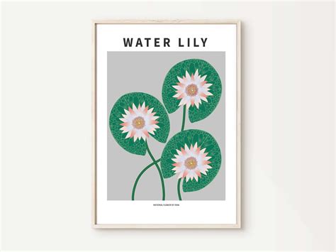 Water Lily National Flower Of Iran Art Print Modern Printable Wall