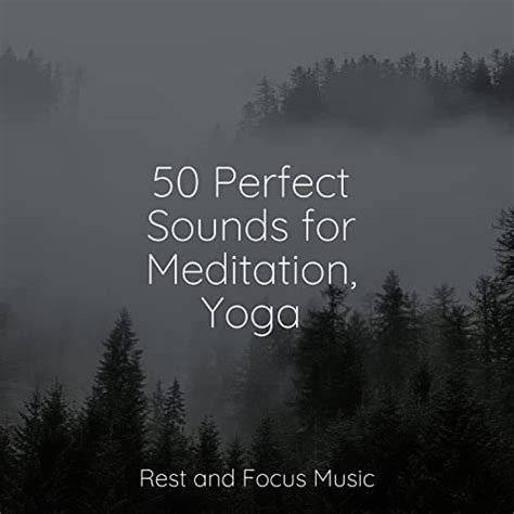 Perfect Sounds For Meditation Yoga By Musica Reiki Study Zone