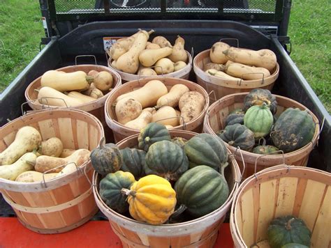 Horticulture Crops - Kerr Center