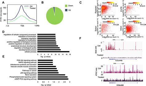 Frontiers Integrative Rna Seq And Atac Seq Analysis Reveals The