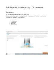 Lab 10 Oil Immersion Docx Lab Report 10 Microscopy Oil Immersion