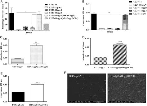 Figure 2 From The Presence Of The Paa Plasmid In The German O104h4 Shiga Toxin Type 2a Stx2a