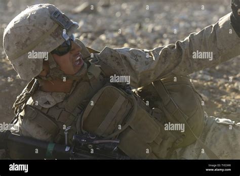 Infantería De Marina De Estados Unidos Lance Cpl Isaías Guittierez 3er Batallón 5º Regimiento