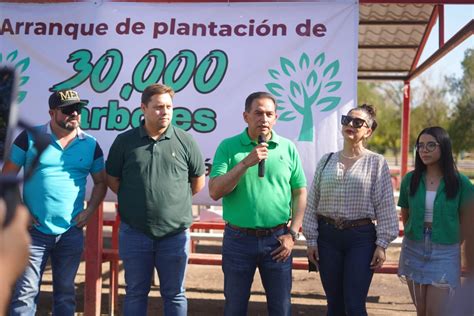 Arranca Alejandro P Rez Cu Llar Campa A De Plantaci N De Mil Rboles