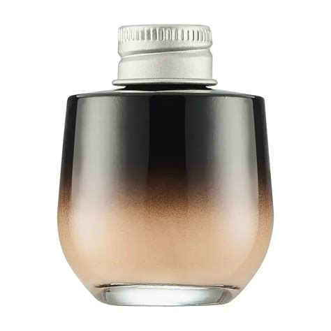 Fluid Foundation Excellent Skin Nude Light Refill Lakshmi