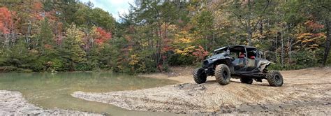 pickett state park atv trails - bergaminicarli