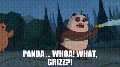 YARN Panda Whoa What Grizz We Bare Bears 2015