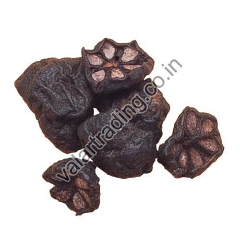 Dried Kokum Manufacturer In Villupuram Tamil Nadu India By Valar