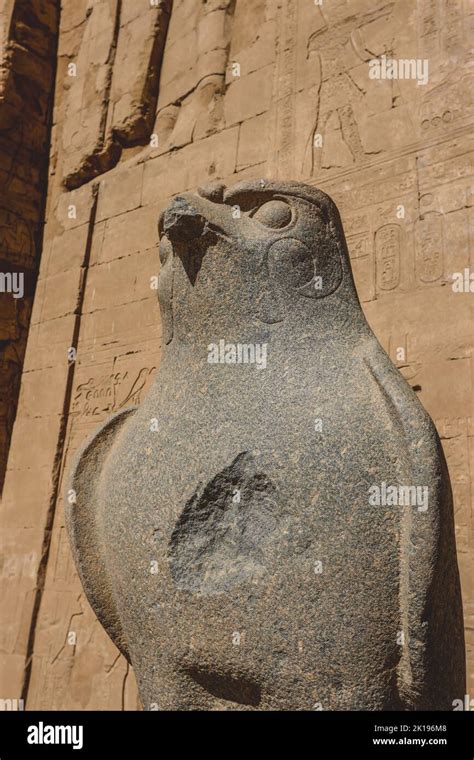 Un antiguo dios egipcio Horus Estatua como la Vista del pájaro halcón