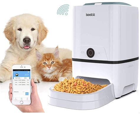 Los Mejores Comederos Automáticos para Gatos