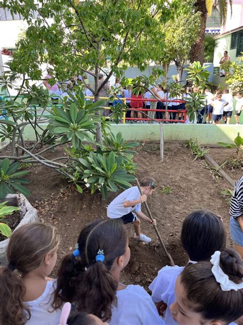 REFORESTAR LA ESPERANZA 2023 CEIP César Manrique Puerto de la Cruz