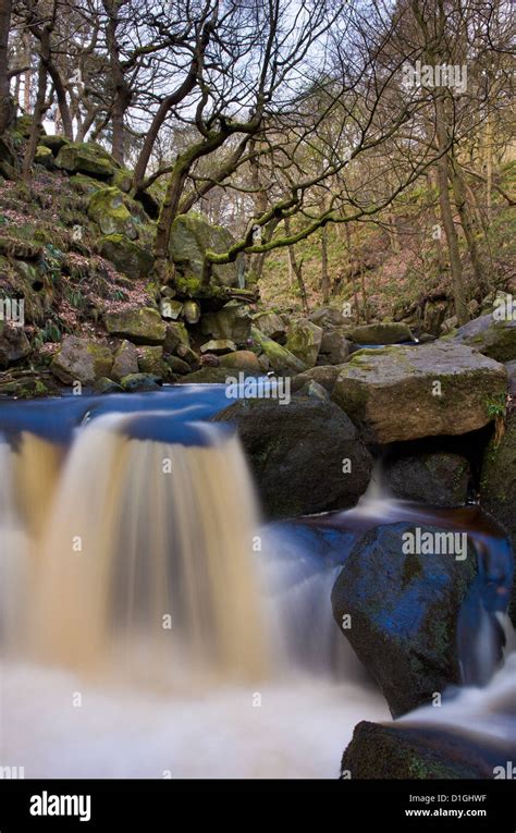 Padley Gorge In The Peak District Derbyshire England United Kingdom