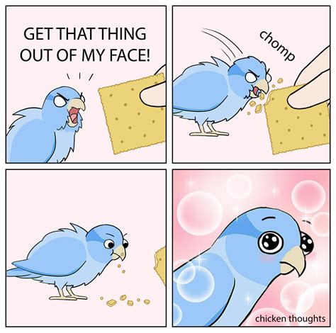 Bird Cracker Blank Template - Imgflip