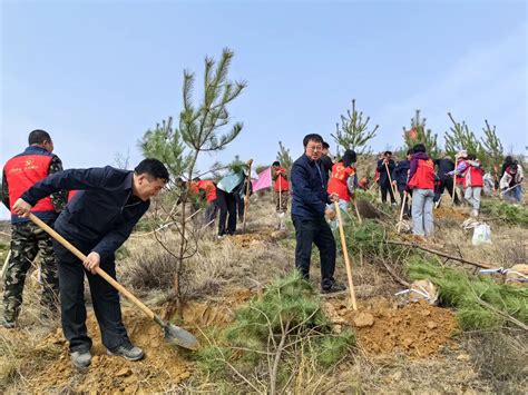 山西全民义务植树网