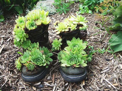 Container Gardening Ideas