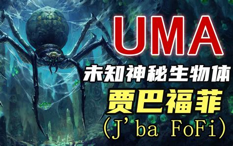 【uma系列】第六期：刚果巨型蜘蛛，蜘蛛恐惧症慎入！ 影man未知档案 影man未知档案 哔哩哔哩视频