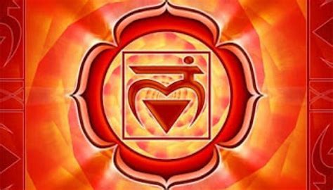 First Chakra The Root Veroyoga