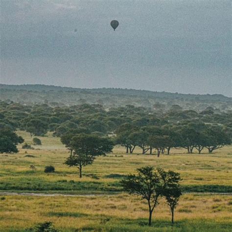 Serengeti Safari Migration De Jours Avec Vol En Montgolfi Re