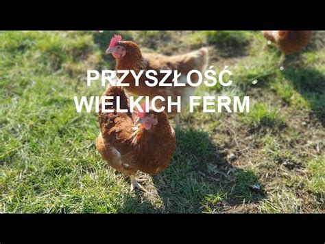 Odcinek 767 PRZYSZŁOŚĆ WIELKICH HODOWLI I FERM DROBIU WZROST CZY