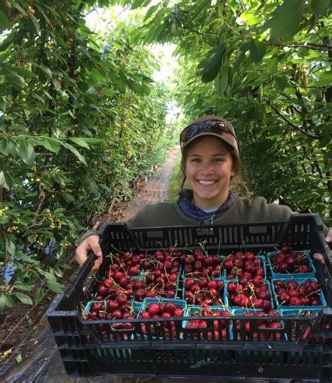 Volunteer Cloud Mountain Farm Center And Nursery