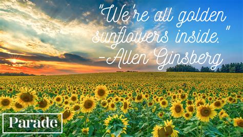 Sunflower Quotes To Bring You Joy Parade