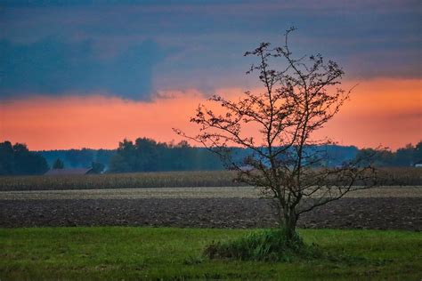 Farmland Sunset Tree Free Photo On Pixabay