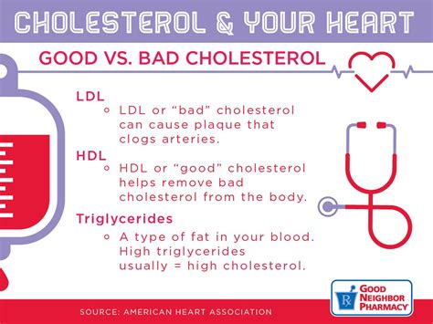 Explain The Difference Between Good And Bad Cholesterol Alex Has Barnes