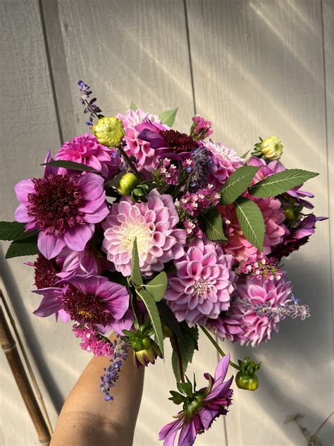 Sugar & Spicer – Fresh Cut Flowers, Farm Fresh Eggs