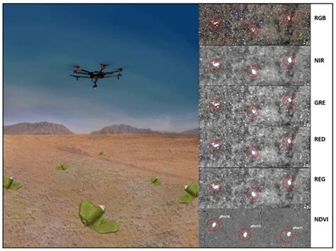 Remote Sensing Free Full Text Applying Deep Learning To Automate