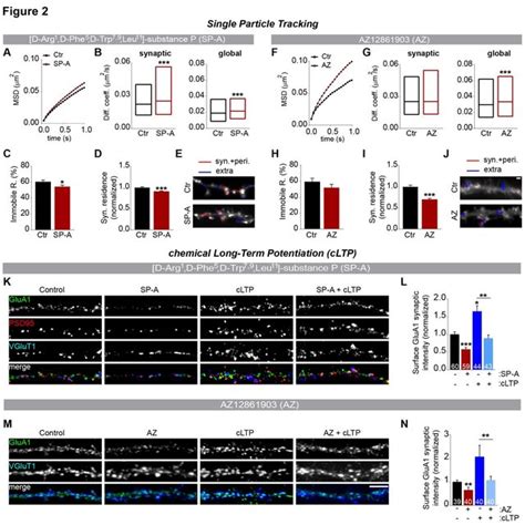 Signaling pathways downstream of the ghrelin receptor constitutive ...