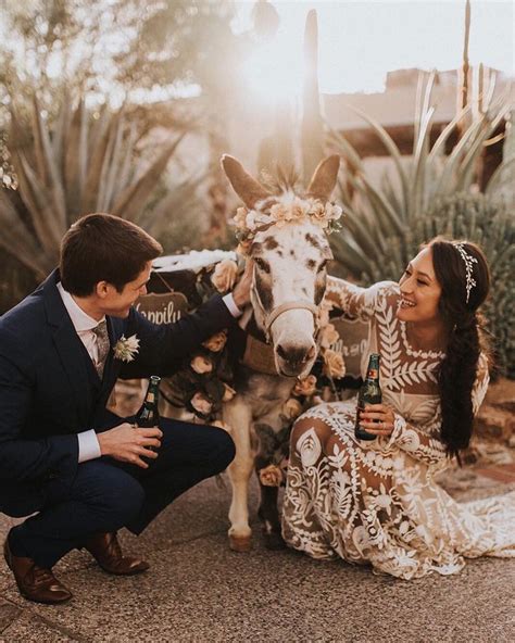 Loving This Little Donkeys Wedding Appearance Photography