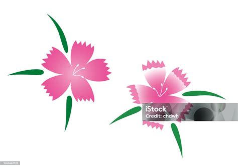 Nadeshiko Flower Stock Illustration Download Image Now Autumn