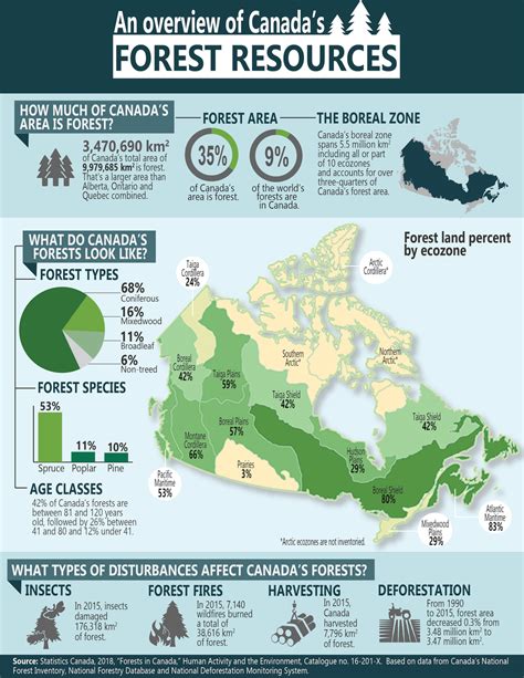 An Overview Of Forest Resources