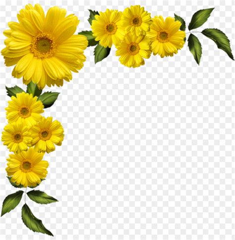 Yellow Flowers Border PNG Image With Transparent Background TOPpng