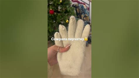 Меня не было дома 5 минут , мама оставила перчатки на стуле … - YouTube