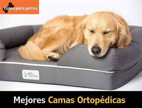 Mejores Camas Ortop Dicas Para Perros Gu A