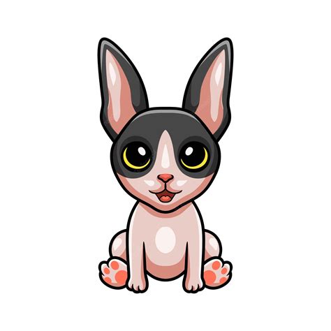 Premium Vector Cute Cat Cornish Rex Cartoon