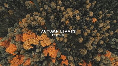 Autumn Leaves Relaxing Chillout Tracks To Ease Your Mind Live Join