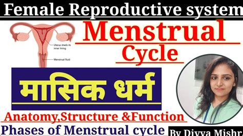 Menstrualcycleinhindi मासिकधर्म Phases Of Menstrual Cycle Tgtpgt Home Science Classes