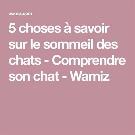 5 Choses à Savoir Sur Le Sommeil Des Chats Comprendre Son Chat Wamiz Comprendre Son Chat