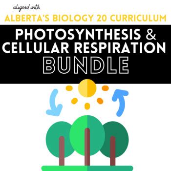 Biology Photosynthesis Cellular Respiration Unit Bundle Tpt