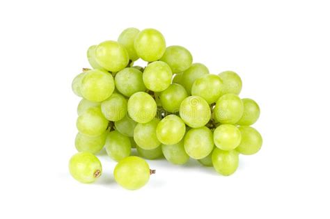 Manojo De Uvas Verdes Aisladas En El Fondo Blanco Imagen De Archivo