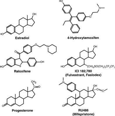 Estrogen and Progesterone Action | Oncohema Key