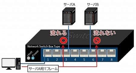 Lan Tech