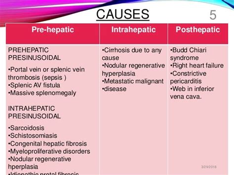 Portal Hypertension Mechanisms Pathophysiology By Aryan