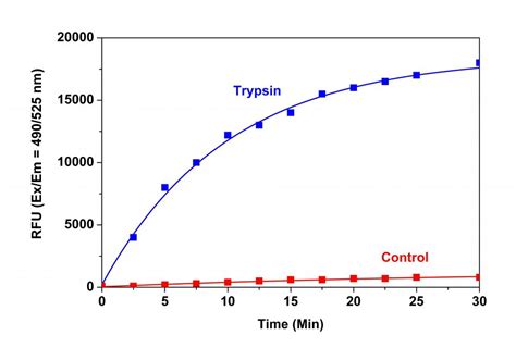 Amplite® Universal Fluorimetric Protease Activity Assay Kit *Green ...