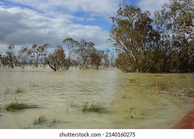 182 Menindee lakes Images, Stock Photos & Vectors | Shutterstock