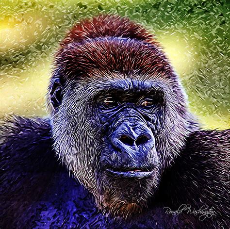 Cross River Gorilla on Behance