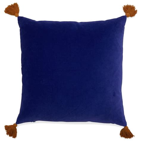 Velvet Decorative Throw Pillow with Tassels, 20x20" by Drew Barrymore ...